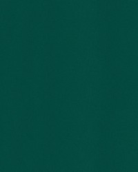 Sunbrella 6000 Erin Green by   