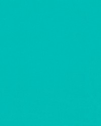 Sunbrella60 Aruba6012 Custom by   