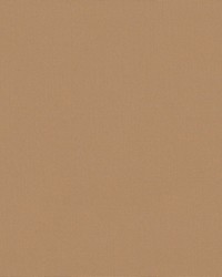 Sunbrella 6020 Beige by   
