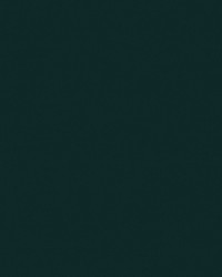 Sunbrella 6037 Forest by   