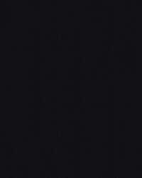 Sunbrella Plus 8408 Black by   