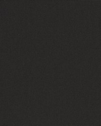 SunbrellaPlus 80 Black84008 0000 by   