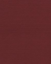 Sycamore 14 Poppy by   