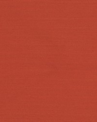 Sycamore 44 Sunset by   