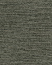 Sycamore 809 Bark by   