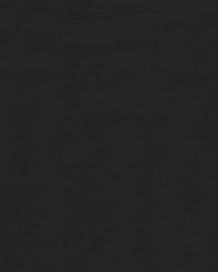 Talladega 9009 Black by   