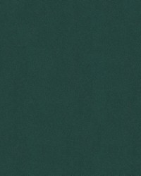 Tonto 58 2009 Forest by  Abbeyshea Fabrics 