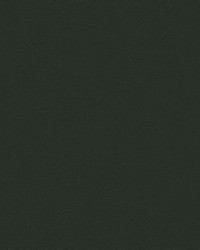 Tonto 58 9009 Black by  Abbeyshea Fabrics 