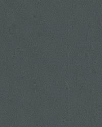 Topgun 1s 4058 Charcoal by   