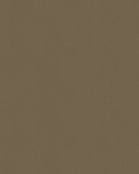 Topgun 1s 4065 Hemp Beige by   