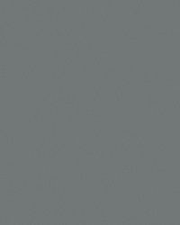 Topgun 1s 4067 Sea Gull Grey by   