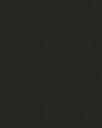 Topgun 1s 4071 Onyx Black by   