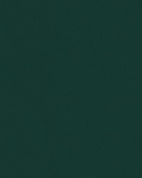 Topgun 1s 4079 Forest Green by   