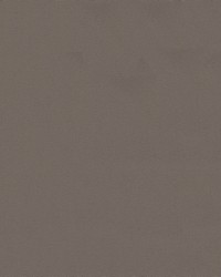 Top Gun 459 Taupe by   