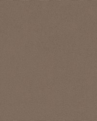 Top Gun 465 Hemp Beige by   