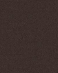 Top Gun 469 Chocolate Brown by   