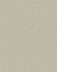 Top Gun 472 Indian Birch by   