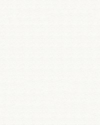 Top Gun FR 765 White by   