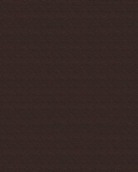 Top Gun FR 779 Chocolate Brown by   