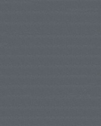 Top Gun FR 783 Silver Grey by   