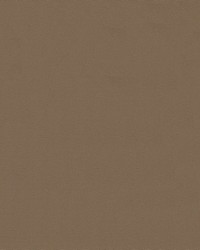 Top Gun 9 #859 Taupe by   