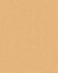 Top Gun 9 #861 Sand by   