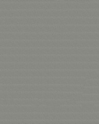 Top Gun 9 #867 Sea Gull Grey by   