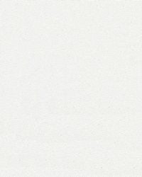 Top Gun 9 #868 Arctic White by   