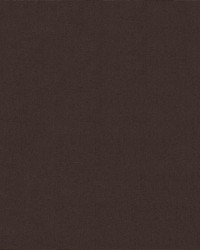 Top Gun 9 #869 Chocolate Brown by   