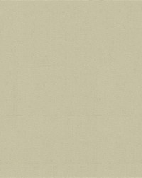 Top Gun 9 #872 Indian Birch by   