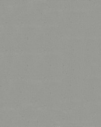 Top Notch 9 #2648 Silver Grey by   