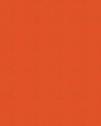 Tradewinds 6612 Tangelo by   