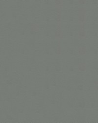 Tradewinds 6617 Harbor Grey by   