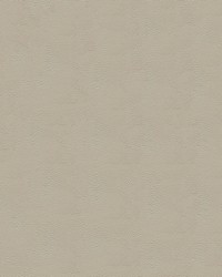 Tradewinds 6620 Moonmisty by   