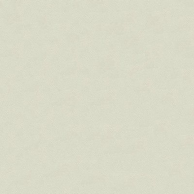 Tradewinds 6623 Polar Dusk TRADE6623 White Polyvinyl  Blend Fire Rated Fabric High Wear Commercial Upholstery CA 117  Marine and Auto Vinyl Fabric