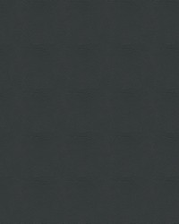 Tradewinds 6624 Porpoise by   