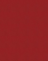 Tradewinds 6629 Tropical Punch by   