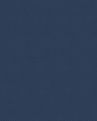 Tradewinds 6631 Abyss by   