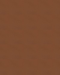 Tradewinds 6637 Deep Suntan by   