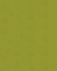 Tradewinds 6642 Lively Leaf by   