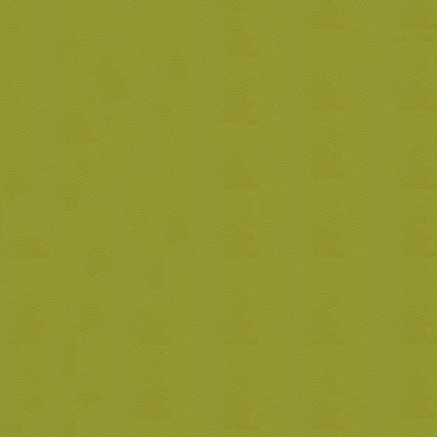 Tradewinds 6642 Lively Leaf TRADE6642 Green Polyvinyl  Blend Fire Rated Fabric High Wear Commercial Upholstery CA 117  Marine and Auto Vinyl Fabric