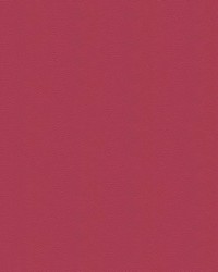 Tradewinds 6644 Monte Carlo by   