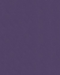 Tradewinds 6645 Pomona Plum by   