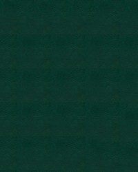 Tradewinds 7717 Sea Frost by   