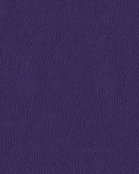 Turner 1009 Plum by   