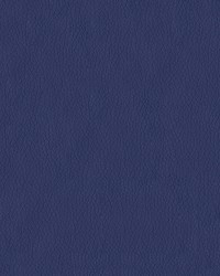 Turner 3003 Pacific Blue by   
