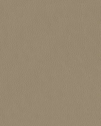 Turner 3948 Taupe by   