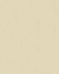Turner 6003 Cream by   