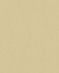 Turner 605 Parchment by   