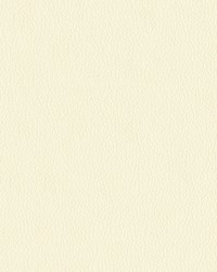 Turner 61 Vanilla by   